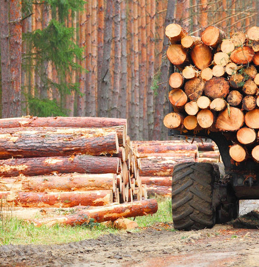 Soaring Energy prices leading to use of Wood fuels